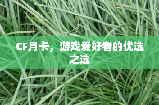 游戏爱好者的优选之选图片