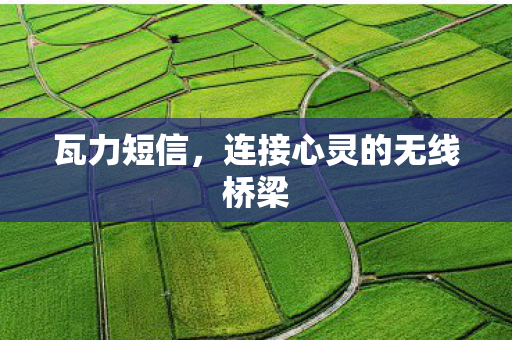 连接心灵的无线桥梁图片