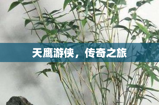 天鹰游侠图片