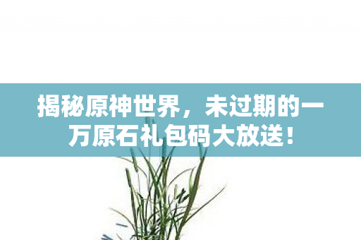未过期的一万原石礼包码大放送图片