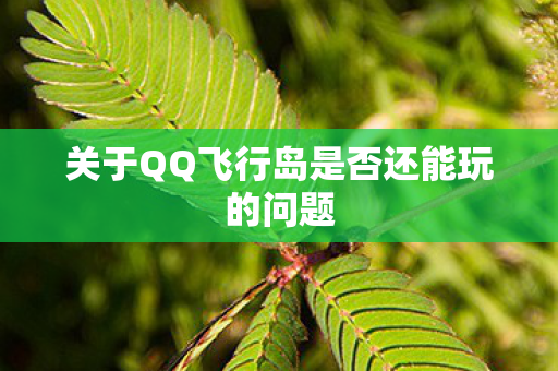 关于QQ飞行岛是否还能玩的问题图片
