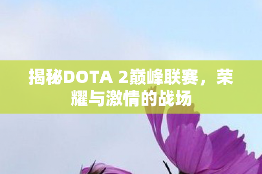 揭秘DOTA 2巅峰联赛图片