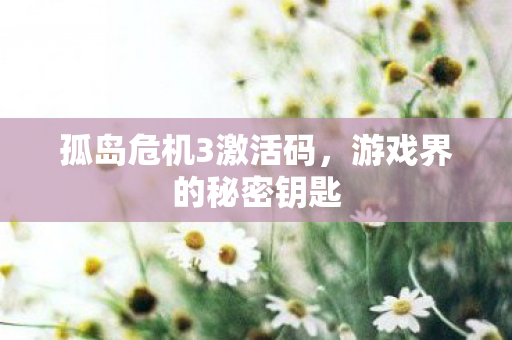 孤岛危机3激活码图片
