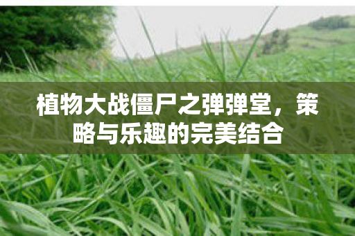 植物大战僵尸之弹弹堂图片
