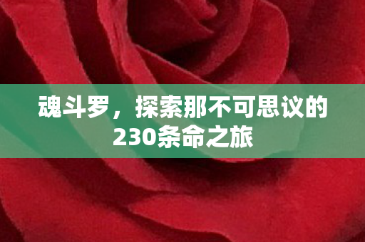 探索那不可思议的230条命之旅图片