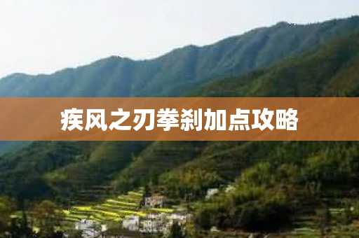 疾风之刃拳刹加点攻略图片