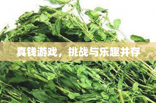 挑战与乐趣并存图片