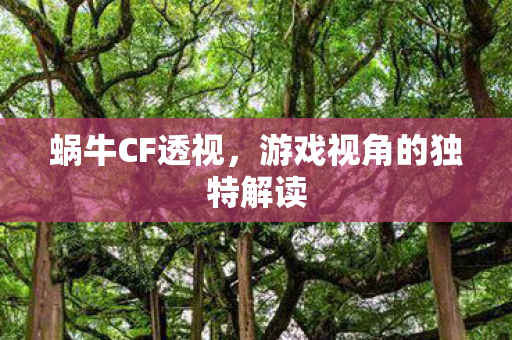 游戏视角的独特解读图片