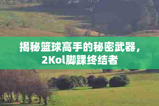揭秘篮球高手的秘密武器图片