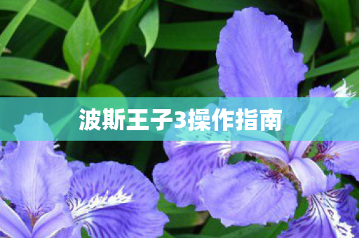 波斯王子3操作指南图片