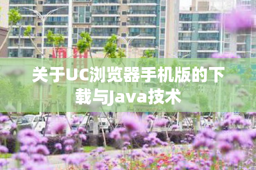 关于UC浏览器手机版的下载与Java技术图片