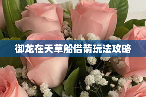 御龙在天草船借箭玩法攻略图片