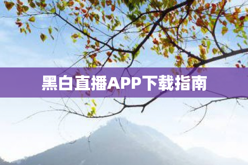 黑白直播APP下载指南图片