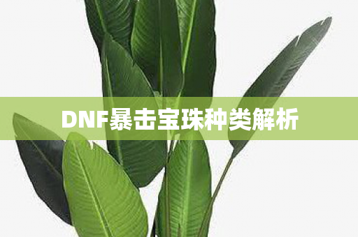 DNF暴击宝珠种类解析图片