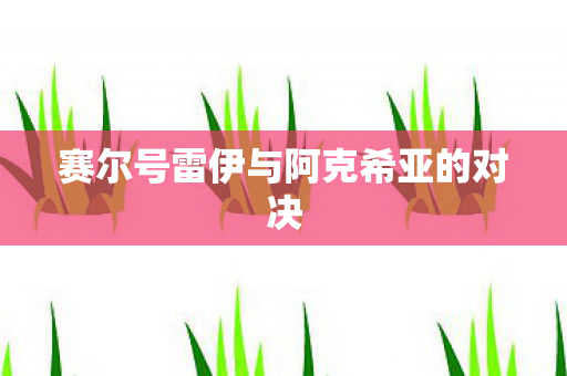 赛尔号雷伊与阿克希亚的对决图片