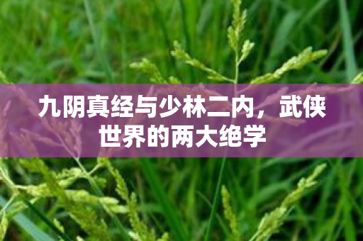 九阴真经与少林二内图片