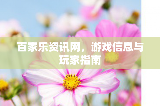 游戏信息与玩家指南图片