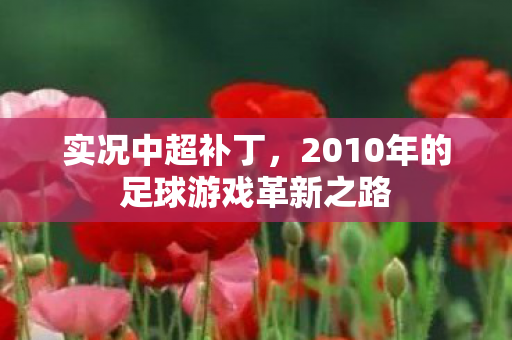 2010年的足球游戏革新之路图片