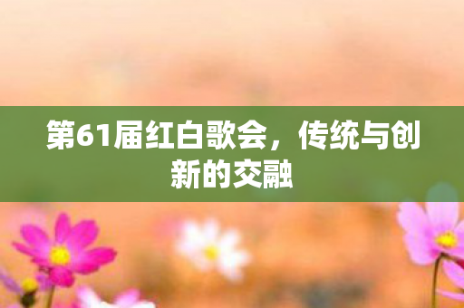 第61届红白歌会图片