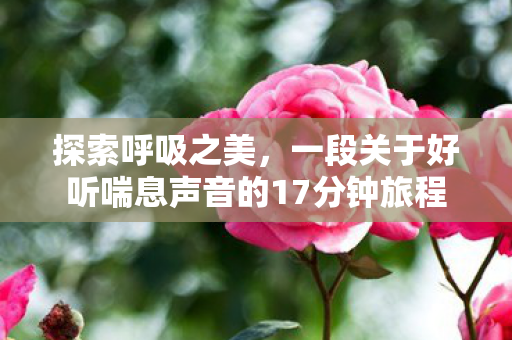 一段关于好听喘息声音的17分钟旅程图片