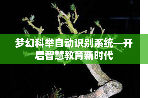 梦幻科举自动识别系统图片
