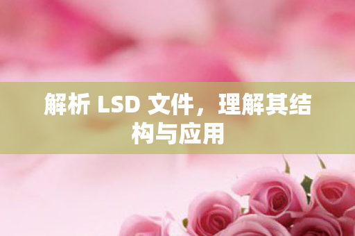 解析 LSD 文件图片