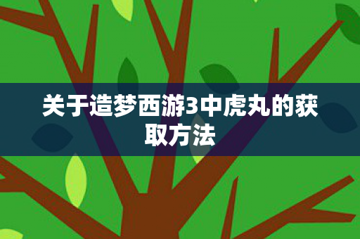 关于造梦西游3中虎丸的获取方法图片