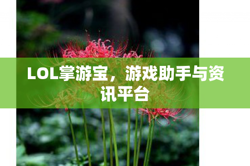 游戏助手与资讯平台图片