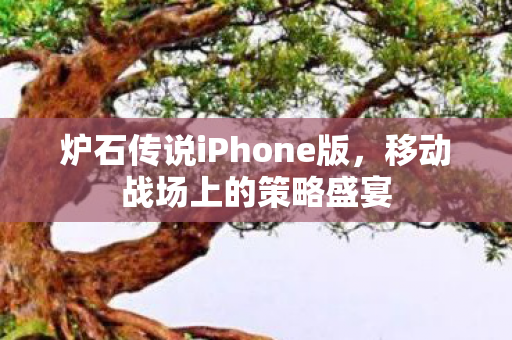 炉石传说iPhone版图片