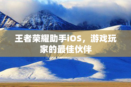 王者荣耀助手iOS图片