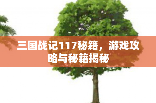 三国战记117秘籍图片