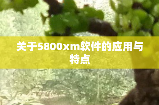 关于5800xm软件的应用与特点图片