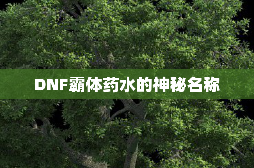 DNF霸体药水的神秘名称图片