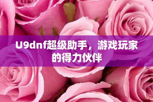 U9dnf超级助手图片
