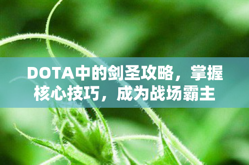 DOTA中的剑圣攻略图片