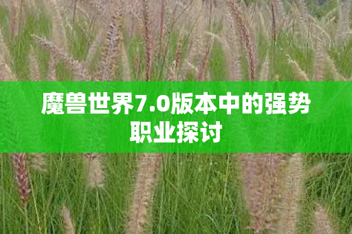 0版本中的强势职业探讨图片