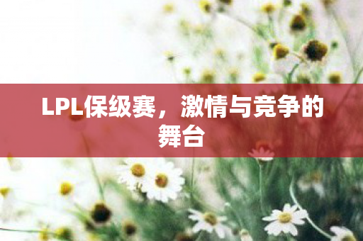 激情与竞争的舞台图片