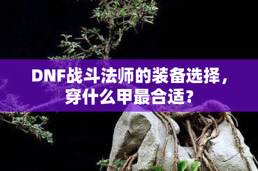 DNF战斗法师的装备选择图片