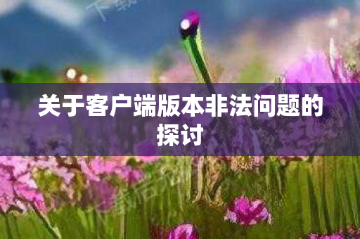 关于客户端版本非法问题的探讨图片