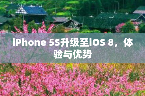 iPhone 5S升级至iOS 8图片