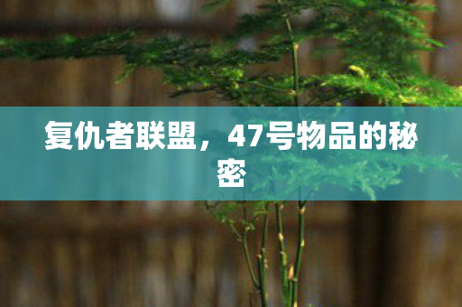 47号物品的秘密图片