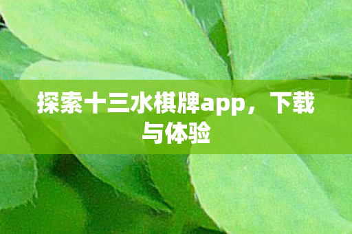 探索十三水棋牌app图片