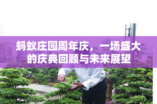 一场盛大的庆典回顾与未来展望图片