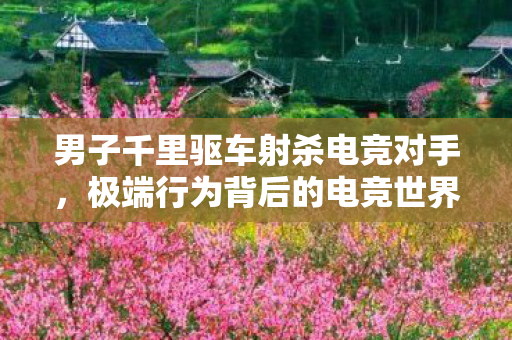 男子千里驱车射杀电竞对手图片