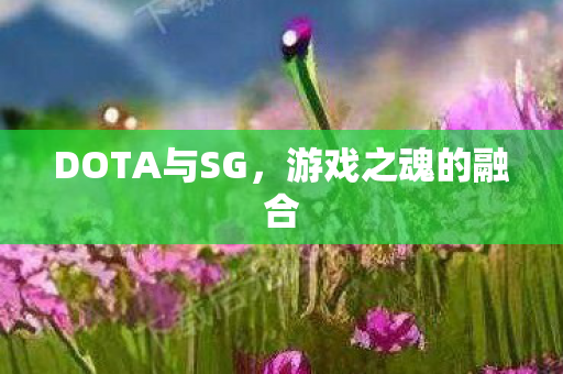DOTA与SG图片