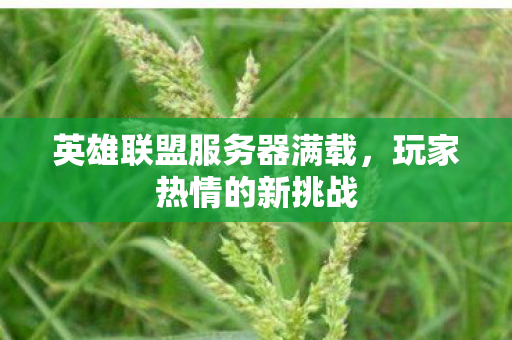 英雄联盟服务器满载图片
