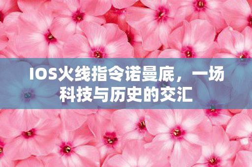 IOS火线指令诺曼底图片