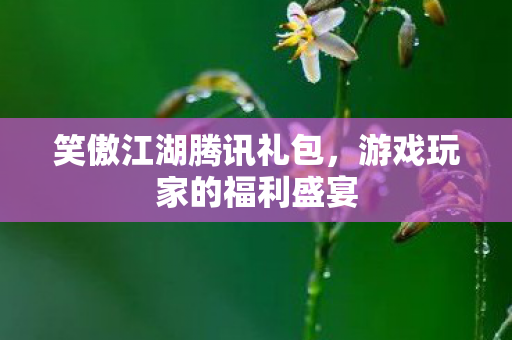 游戏玩家的福利盛宴图片
