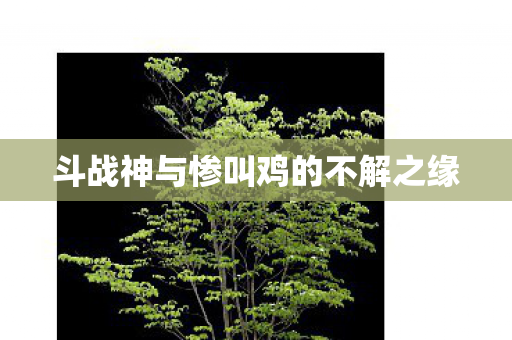 斗战神与惨叫鸡的不解之缘图片