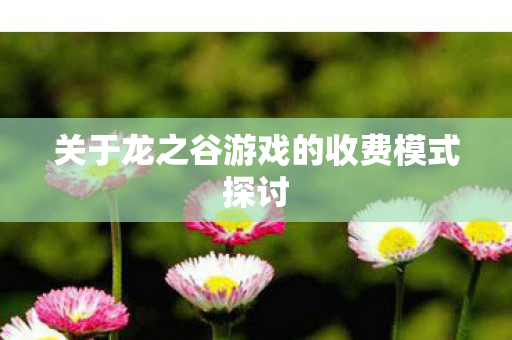 关于龙之谷游戏的收费模式探讨图片